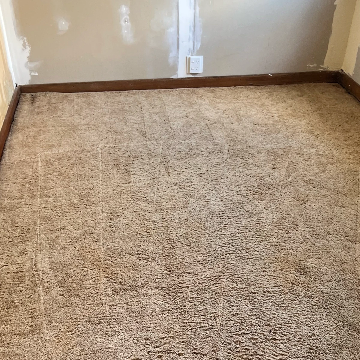 Carpet after professional cleaning