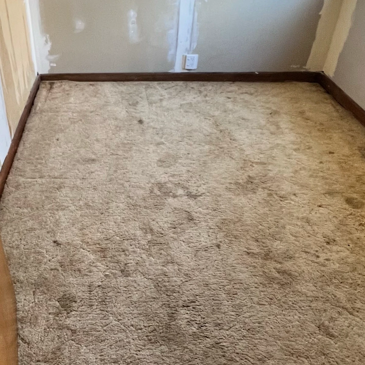 Carpet before professional cleaning