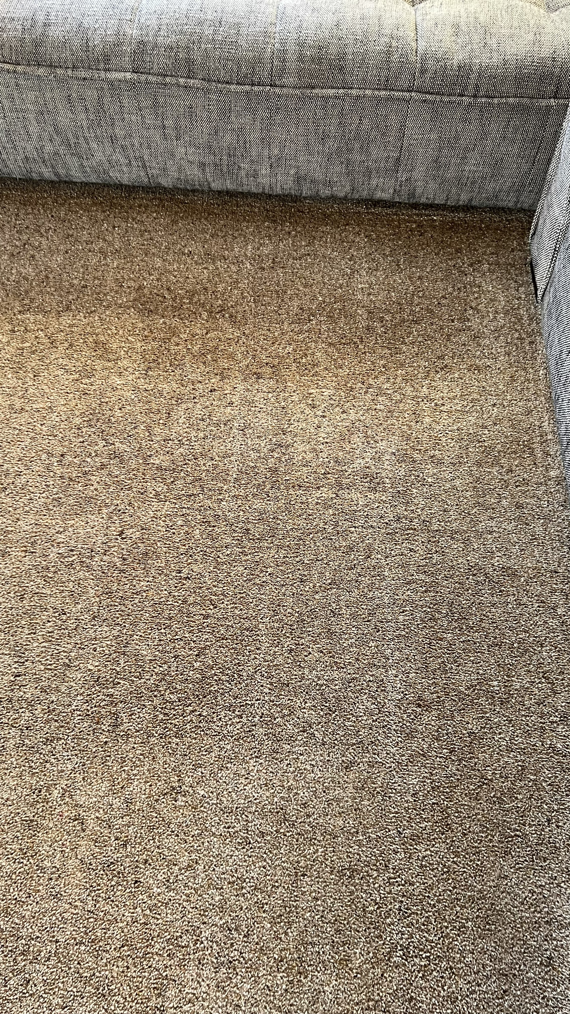 Upholstery Cleaning work in progress