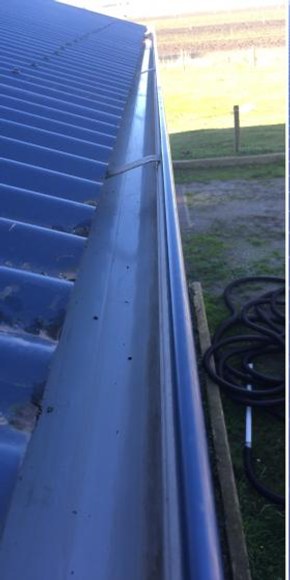 Gutter after clearing
