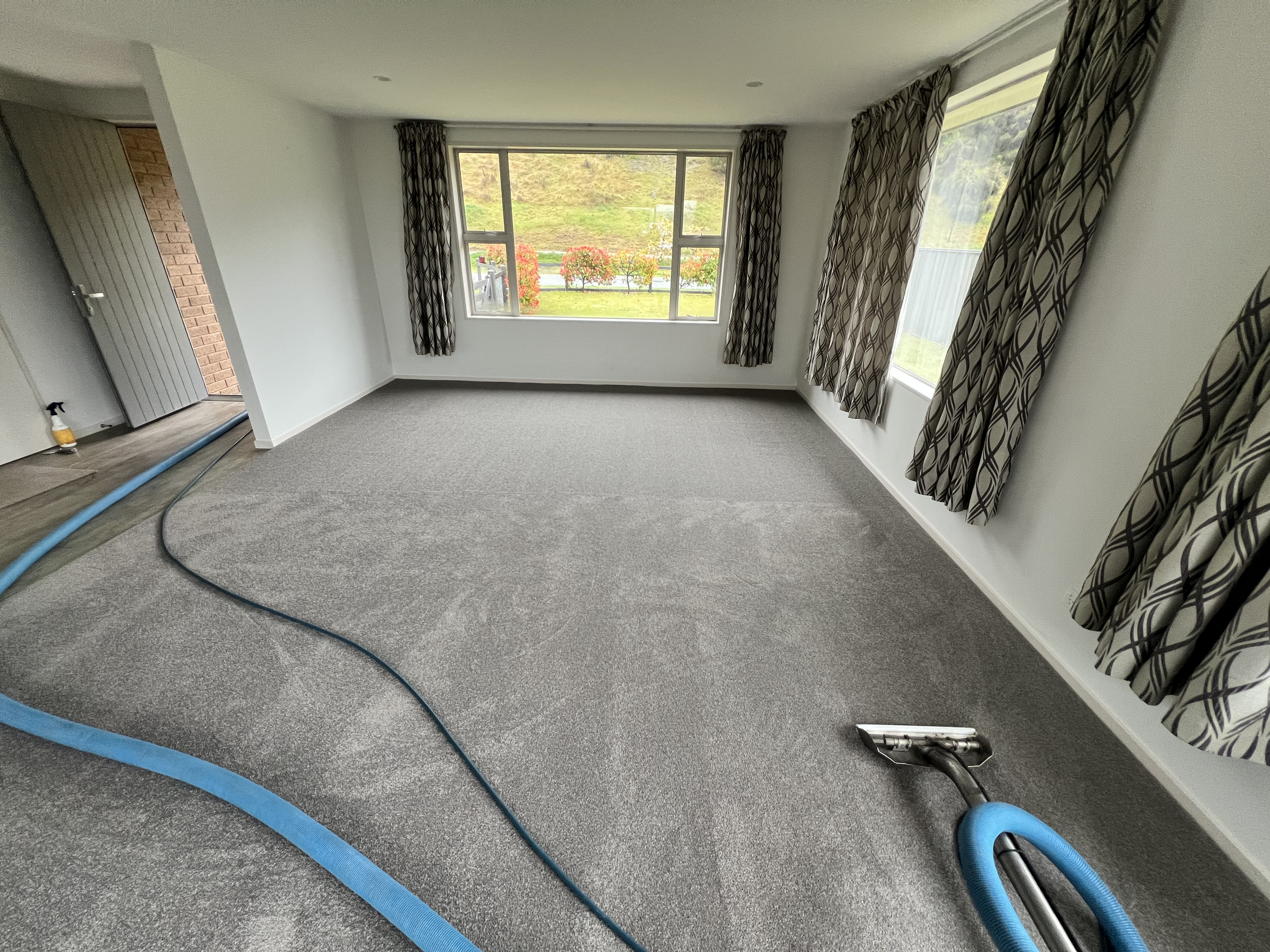 Carpet after cleaning