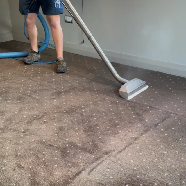 Technician using a hot water extraction wand to clean carpet