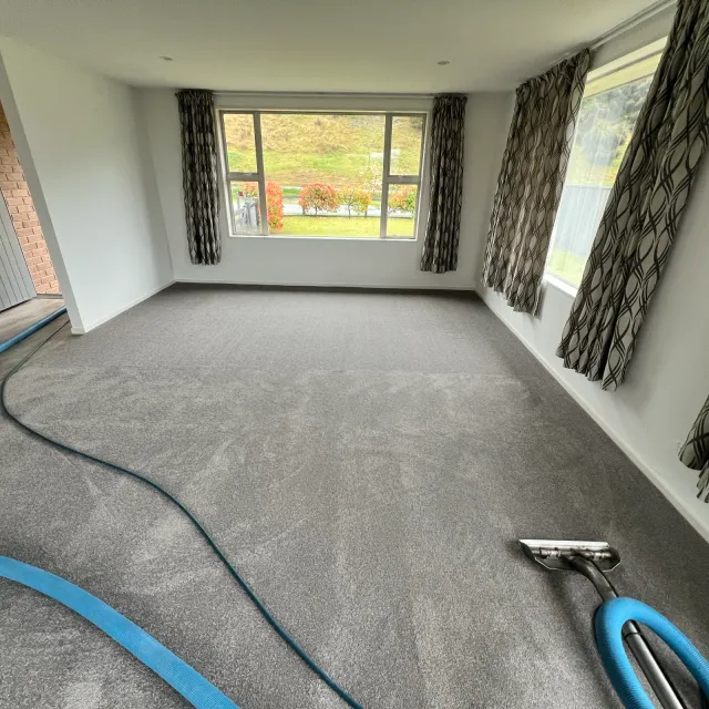 Carpet cleaning wand and extraction hoses in a residential living room